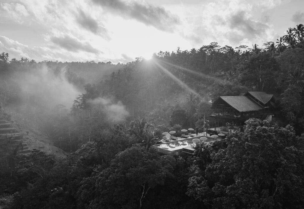 BUAHAN, A BANYAN TREE ESCAPE The Punch Community