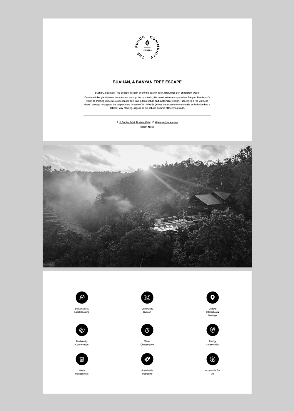 ThePunchCommunity_Membership_WebsiteProfile